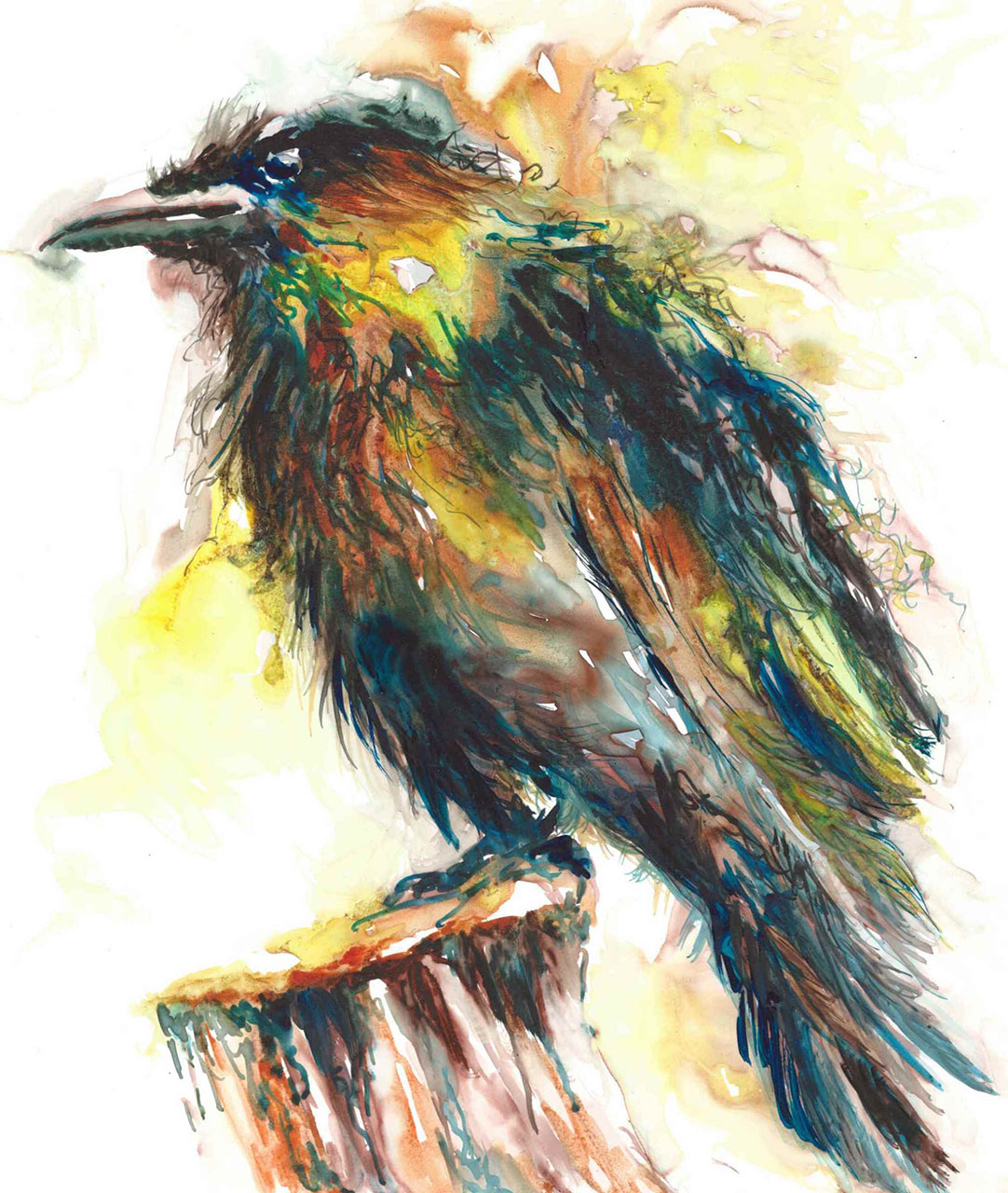 Raven About Color